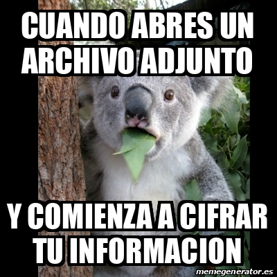 Meme Koala Cuando Abres Un Archivo Adjunto Y Comienza A Cifrar Tu