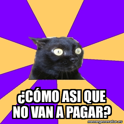 Meme Anxiety Cat C Mo Asi Que No Van A Pagar