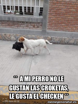 Meme Personalizado A MI PERRO NO LE GUSTAN LAS CROKETAS LE GUSTA