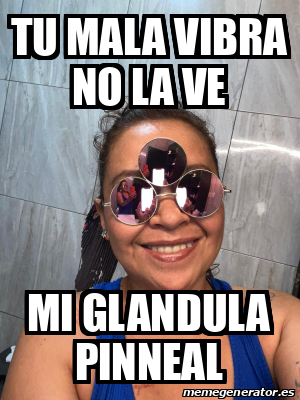 Meme Personalizado Tu Mala Vibra No La Ve Mi Glandula Pinneal 33168312