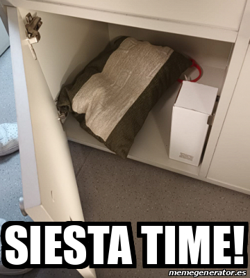 Meme Personalizado Siesta Time