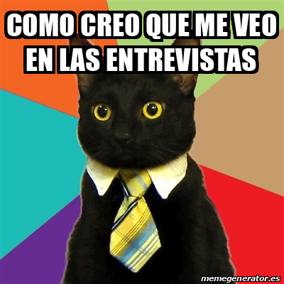 Meme Business Cat Como Creo Que Me Veo En Las Entrevistas