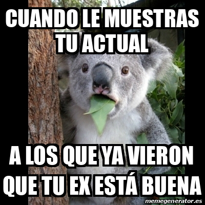 Meme Koala Cuando Le Muestras Tu Actual A Los Que Ya Vieron Que Tu Ex