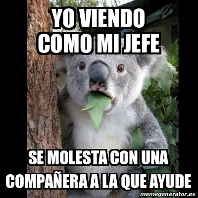 Meme Koala yo viendo como mi jefe se molesta con una compañera a la