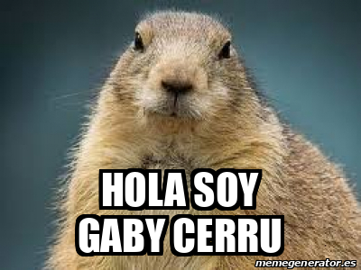 Meme Personalizado Hola Soy Gaby Cerru