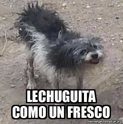 Meme Personalizado LECHUGUITA COMO UN FRESCO 33247652