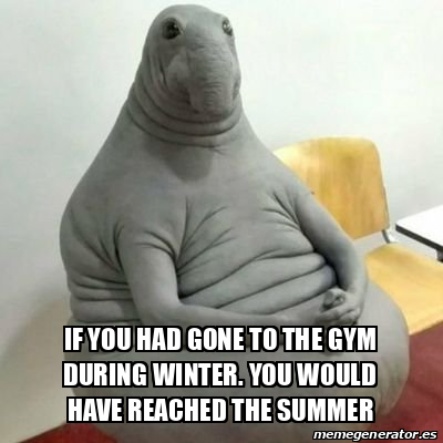 Meme Personalizado If You Had Gone To The Gym During Winter You