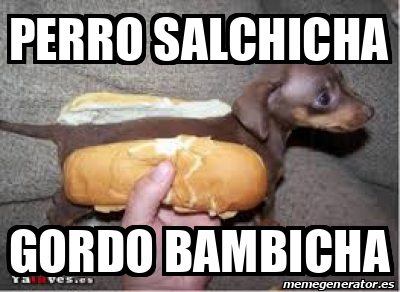 Meme Personalizado Perro Salchicha Gordo Bambicha