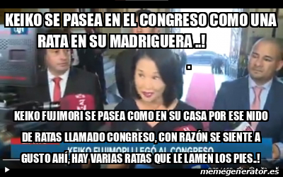 Meme Personalizado Keiko Se Pasea En El Congreso Como Una Rata En Su