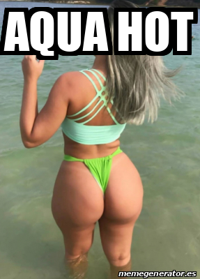 Meme Personalizado AQUA HOT 33314993