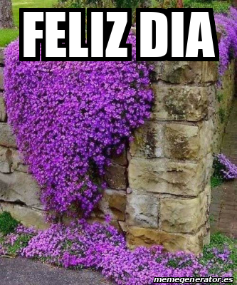 Meme Personalizado Feliz Dia