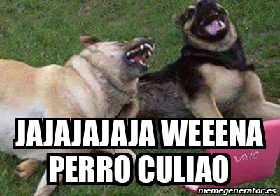 Meme Personalizado Jajajajaja Weeena Perro Culiao