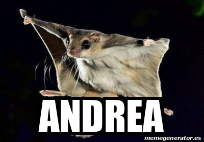 Meme Personalizado Andrea 33057931