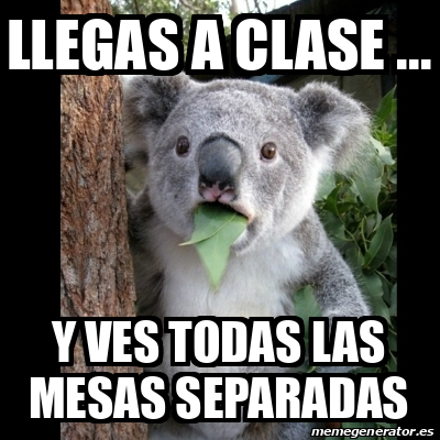 Meme Koala Llegas A Clase Y Ves Todas Las Mesas Separadas 33076466