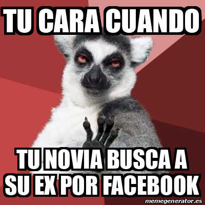 Meme Chill Out Lemur Tu Cara Cuando Tu Novia Busca A Su Ex Por