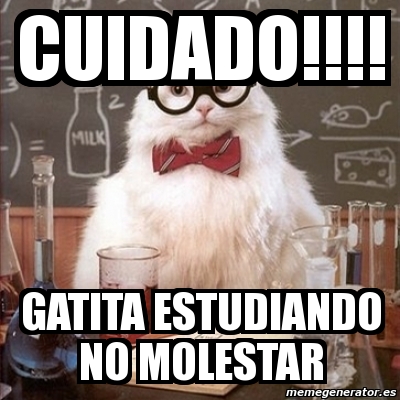 Meme Chemistry Cat Cuidado Gatita Estudiando No Molestar 4359244