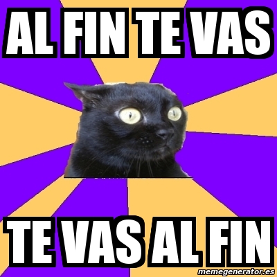 Meme Anxiety Cat Al Fin Te Vas Te Vas Al Fin 4618967