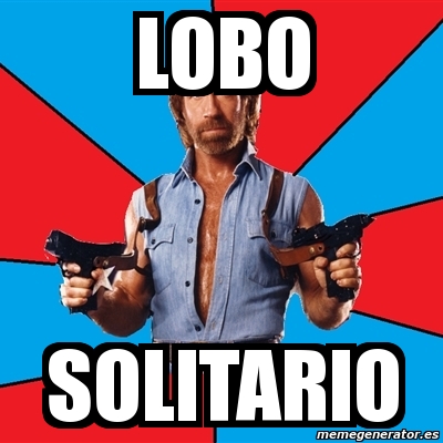 Meme Chuck Norris Lobo Solitario