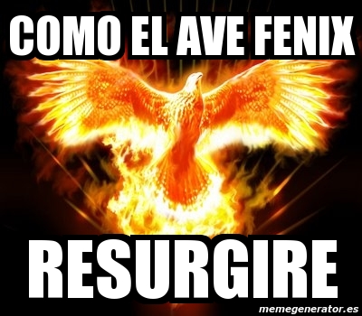 Meme Personalizado COMO EL AVE FENIX RESURGIRE 4099386