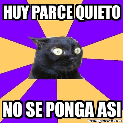 Meme Anxiety Cat Huy Parce Quieto No Se Ponga Asi