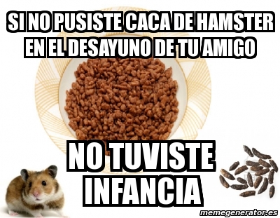 Meme Personalizado Si No Pusiste Caca De Hamster En El Desayuno De Tu