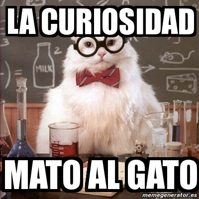 Meme Chemistry Cat LA CURIOSIDAD MATO AL GATO 8833945