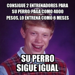 Meme Bad Luck Brian Consigue Entrenadores Para Su Perro Paga Como