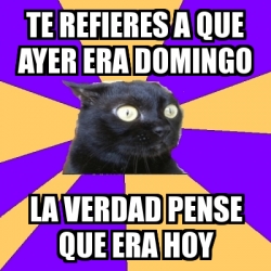 Meme Anxiety Cat Te Refieres A Que Ayer Era Domingo La Verdad Pense