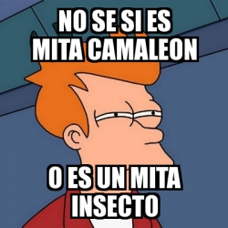 Meme Futurama Fry No Se Si Es Mita Camaleon O Es Un Mita Insecto