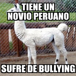 Meme Personalizado Tiene Un Novio Peruano Sufre De Bullying 737309