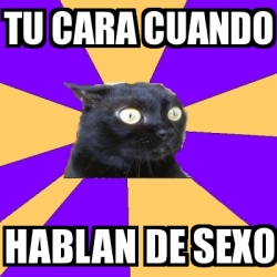 Meme Anxiety Cat Tu Cara Cuando Hablan De Sexo 923513