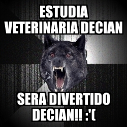 Meme Insanity Wolf Estudia Veterinaria Decian Sera Divertido Decian