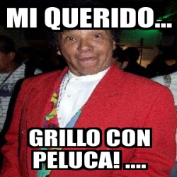 Meme Personalizado Mi Querido Grillo Con Peluca 1157587