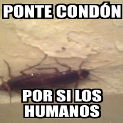 Meme Personalizado ponte condÃ³n por si los humanos 1210862