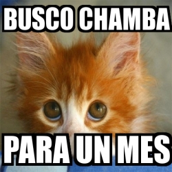 Meme Personalizado Busco Chamba Para Un Mes