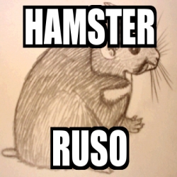 Meme Personalizado Hamster Ruso 1593844