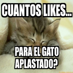 Meme Personalizado Cuantos Likes Para El Gato Aplastado