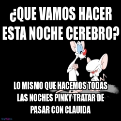 Meme Personalizado Que Vamos Hacer Esta Noche CeREBRO Lo Mismo Que