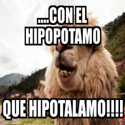 Meme Personalizado Con El Hipopotamo Que Hipotalamo 1959233