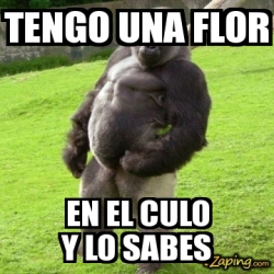 Meme Personalizado TENGO UNA FLOR EN EL CULO Y LO SABES 10504878