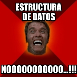 Meme Arnold Estructura De Datos Nooooooooooo