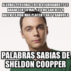 Meme Sheldon Cooper Algunas Personas Creen Q Ignorandote Te Haran