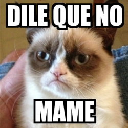 Meme Grumpy Cat Dile Que No Mame