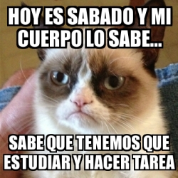 Meme Grumpy Cat Hoy Es Sabado Y Mi Cuerpo Lo Sabe Sabe Que Tenemos