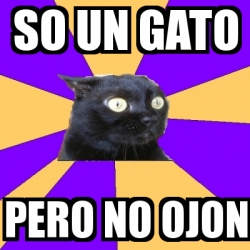 Meme Anxiety Cat So Un Gato Pero No Ojon