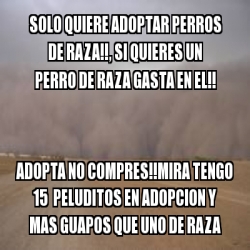 Meme Personalizado Solo Quiere Adoptar Perros De Raza Si Quieres