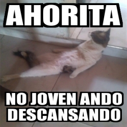 Meme Personalizado Ahorita No Joven Ando Descansando