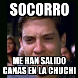 Meme Crying Peter Parker Socorro Me Han Salido Canas En La Chuchi