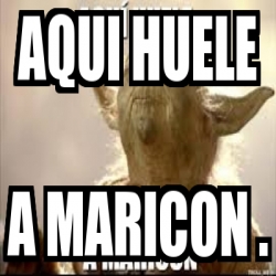 Meme Personalizado AQUI HUELE A MARICON 16744362