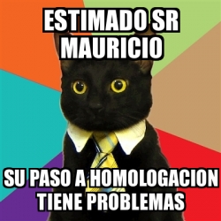 Meme Business Cat Estimado Sr Mauricio Su Paso A Homologacion Tiene